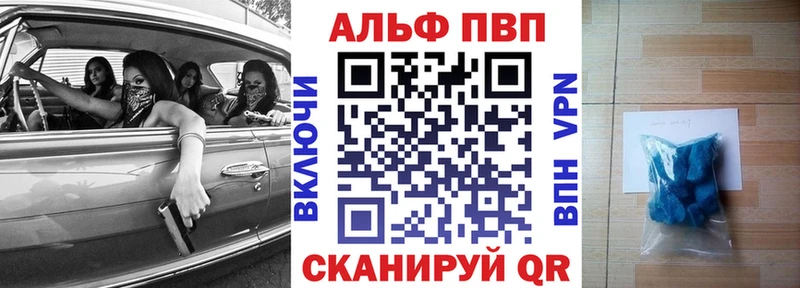 Альфа ПВП СК  Каргополь 
