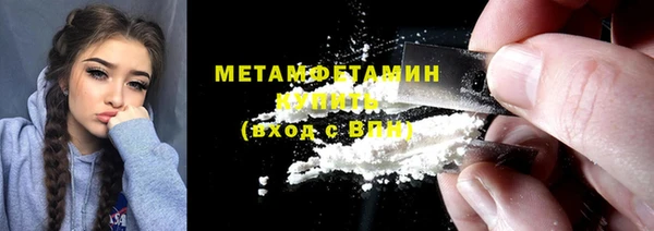ПСИЛОЦИБИНОВЫЕ ГРИБЫ Вяземский