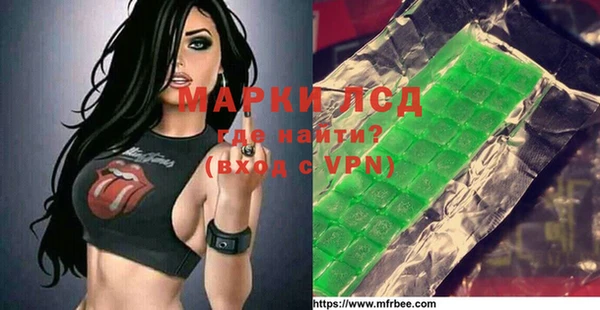 ПСИЛОЦИБИНОВЫЕ ГРИБЫ Вяземский