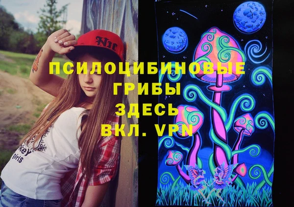 ПСИЛОЦИБИНОВЫЕ ГРИБЫ Вяземский