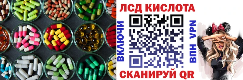 LSD-25 экстази кислота  MEGA сайт  Каргополь 
