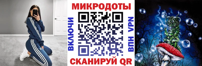купить   Каргополь  Галлюциногенные грибы мицелий 