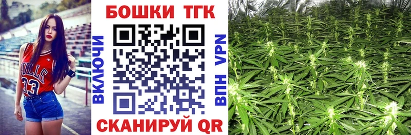 Шишки марихуана семена  Каргополь 
